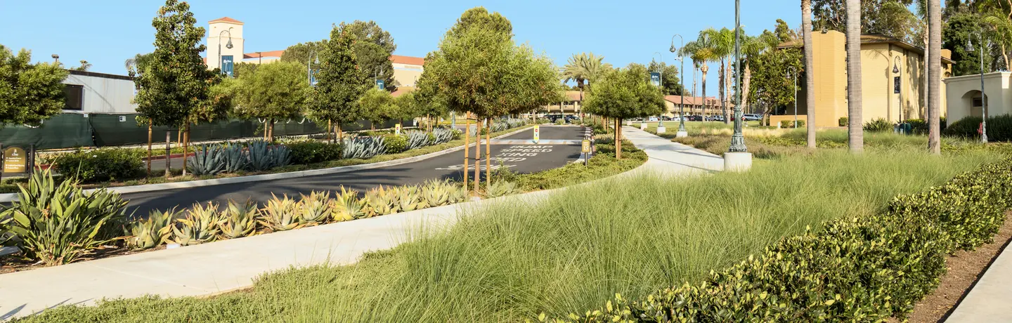 Fuel Modification is Your Best Fire Defense